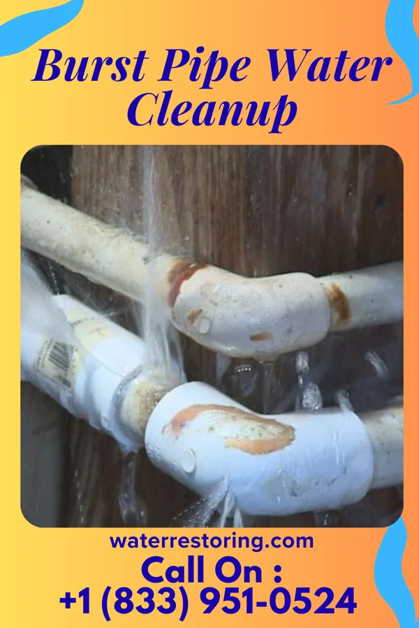 Burst Pipe Water Cleanup in Bossier City, LA